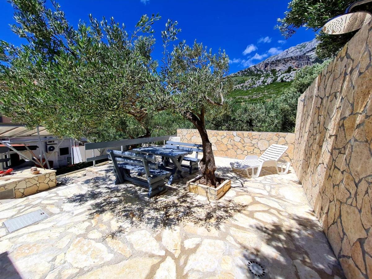 Vila Maslina Apartments Mit Pool Und Garten Nahe Am Strand Tučepi Exterior foto